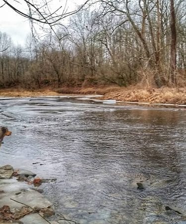 Cedar Bluffs Nature Preserve