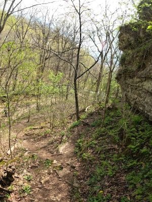 Cedar Bluffs Nature Preserve