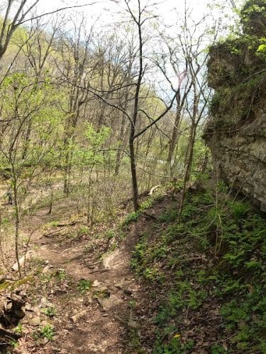 Cedar Bluffs Nature Preserve