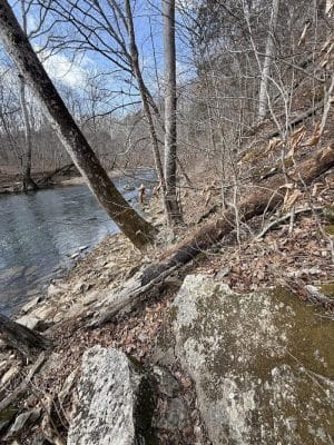 Cedar Bluffs Nature Preserve