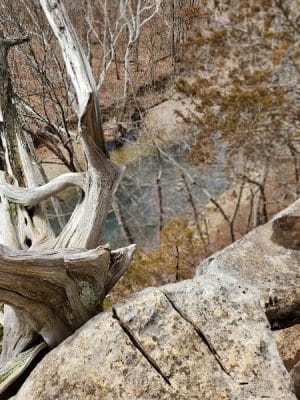 Cedar Bluffs Nature Preserve