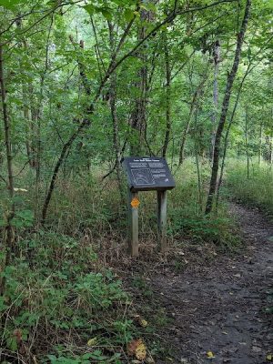 Cedar Bluffs Nature Preserve
