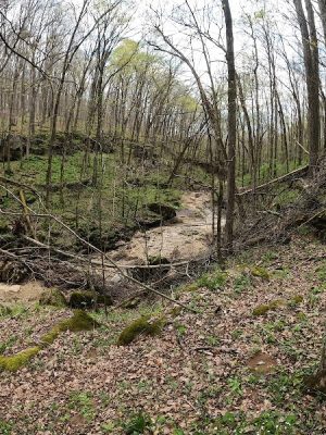 Cedar Bluffs Nature Preserve