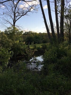 Clear Creek Trail Parking Lot