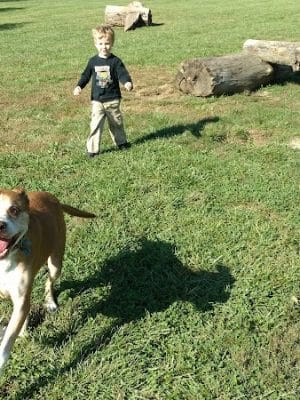 Ferguson Dog Park