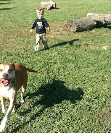 Ferguson Dog Park
