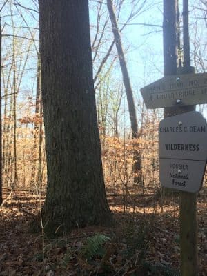 Hays Trail