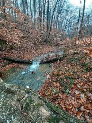 Hays Trail