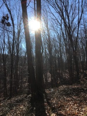 Hays Trail