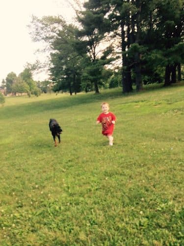 Karst Farm Park