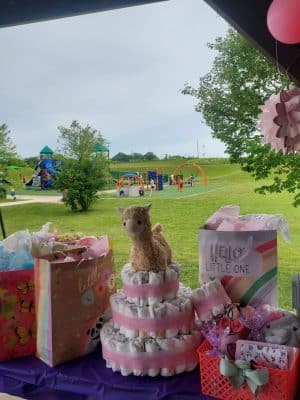 Karst Farm Park