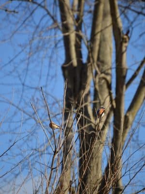 Karst Farm Trail