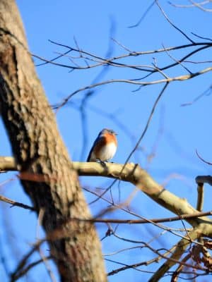 Karst Farm Trail