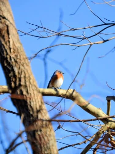 Karst Farm Trail