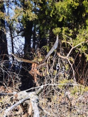 Karst Farm Trail