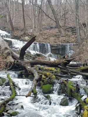 Leonard Springs Nature Park