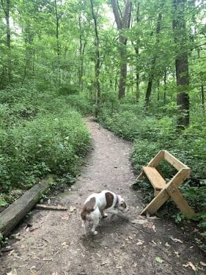 Leonard Springs Nature Park