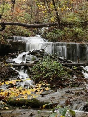 Leonard Springs Nature Park