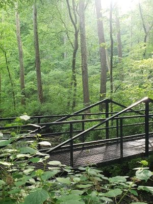 Leonard Springs Nature Park