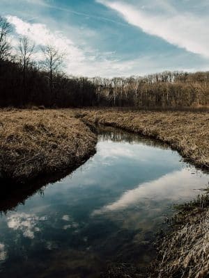 Leonard Springs Nature Park