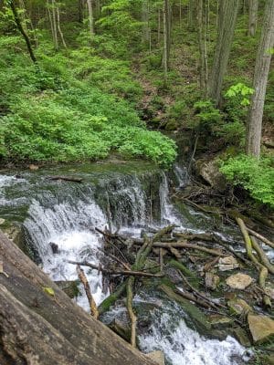 Leonard Springs Nature Park