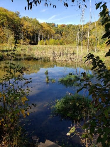 Leonard Springs Nature Park Rest Area