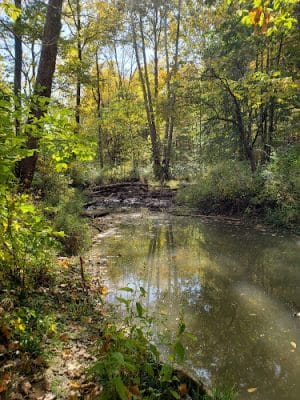 Leonard Springs Nature Park Rest Area