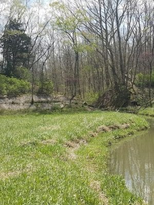 Leonard Springs Nature Park Rest Area