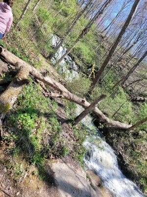 Leonard Springs Nature Trail Parking Lot