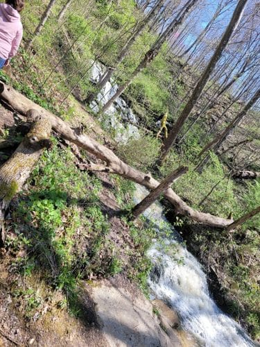 Leonard Springs Nature Trail Parking Lot