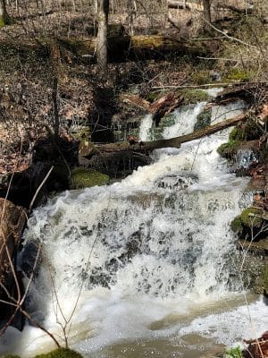 Leonard Springs Nature Trail Parking Lot