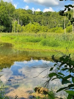 Leonard Springs Nature Trail Parking Lot