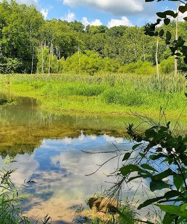 Leonard Springs Nature Trail Parking Lot