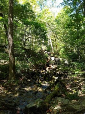 Leonard Springs Nature Trail Parking Lot