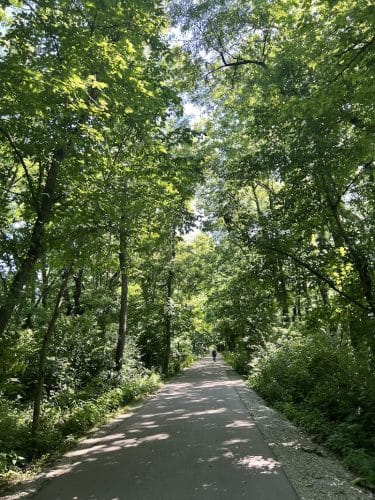Limestone greenway