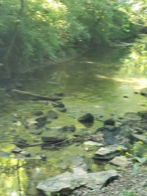Limestone greenway
