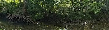 Limestone greenway