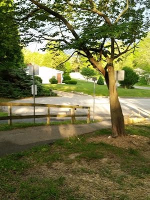 Park Ridge Park