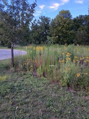 Switchyard Park