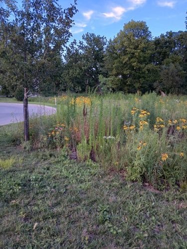 Switchyard Park