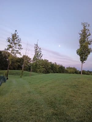 Switchyard Park
