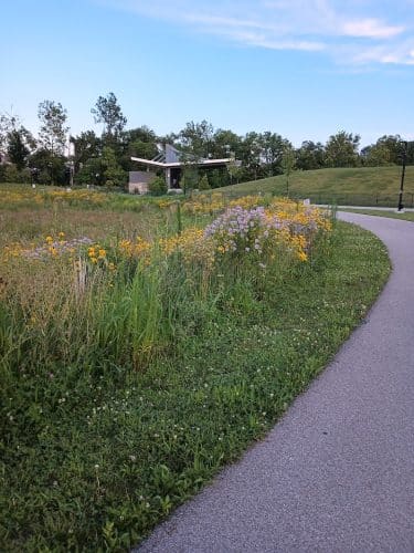 Switchyard Park