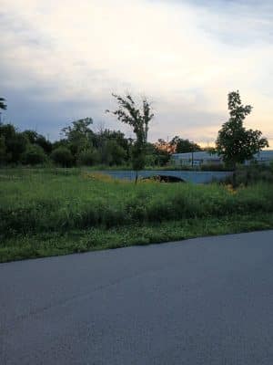 Switchyard Park