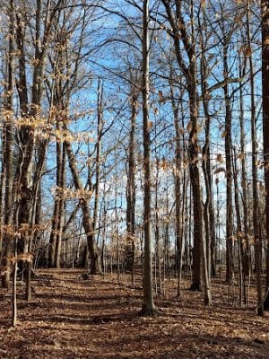 Winslow Nature Trail