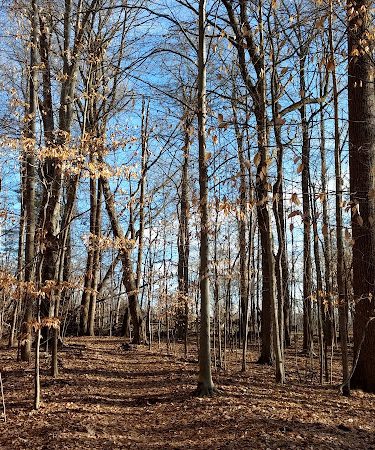 Winslow Nature Trail