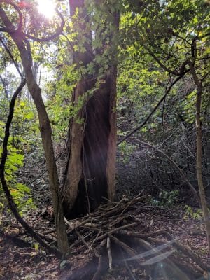 Winslow Nature Trail