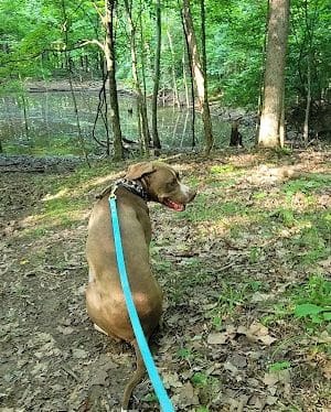 Winslow Nature Trail