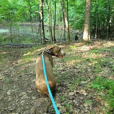 Winslow Nature Trail
