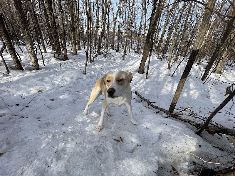 Bloomington Off-leash Dog Park - Bloomington, MN