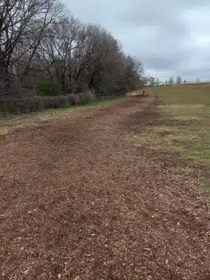 Bloomington Off-leash Dog Park